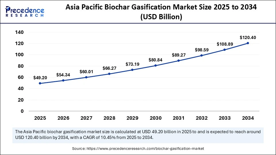 Biochar Gasification Market Size 2025 to 2034