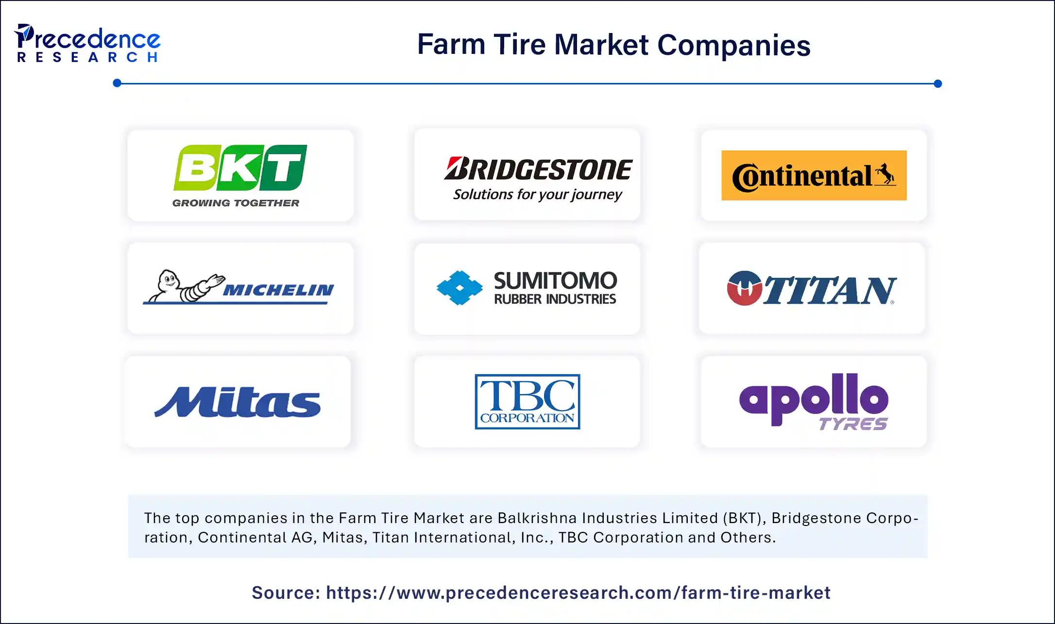 Farm Tire Market Companies