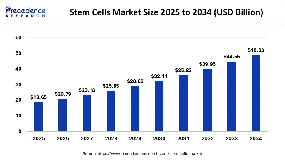Stem Cells Market Size 2025 to 2034
